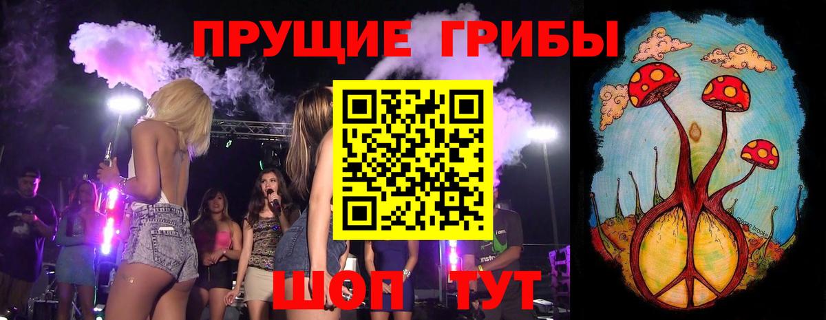 Псилоцибиновые грибы ЛСД Кингисепп