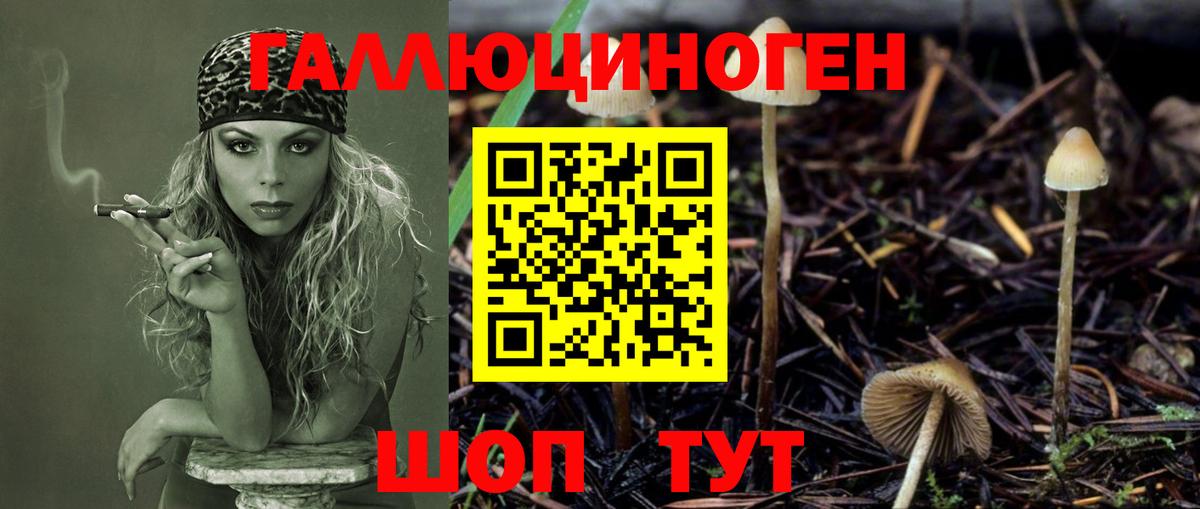 Вейп ТГК Кингисепп
